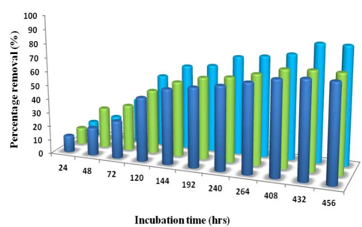 Fig. 7. Nitrate bioremoval efficiency of selective bacterial strains at 500ppm 
