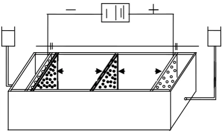 Fig. 3. Electrokinetic coupled with PRB (Saeedi et al., 2009) 