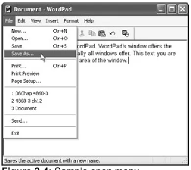 Figure 2-4: Sample open menu  