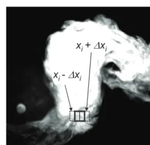 Fig. 2. Movement of the window on a single image in order to get the spatial difference in concentration N