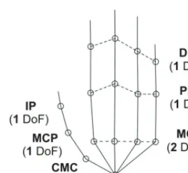 Fig. 1.  Simplified mechanical model of a human hand with joint designations [15]