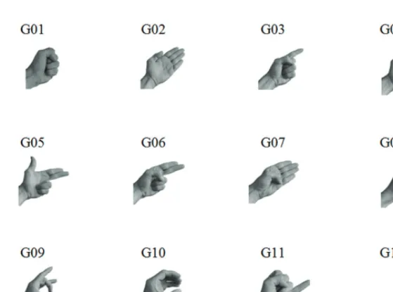 Fig. 3. Modified gesture dictionary containing simple and complex static gestures 