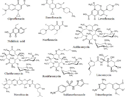 Fig. 1. Molecular structure of the selected antibiotics 