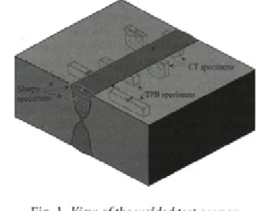 Fig. 1. View o f the welded test coupon 