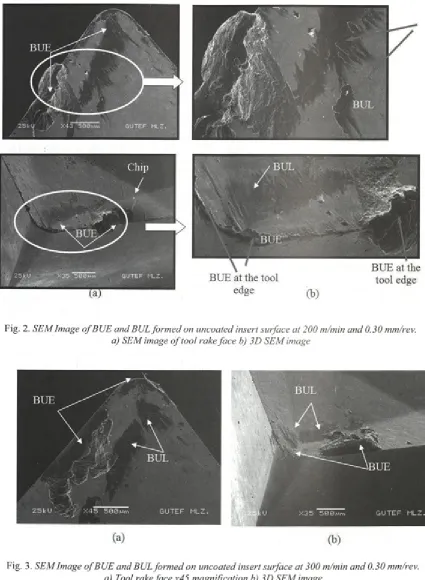 Fig. 2. SEM Image o f BUE and BUL formed on uncoated insert surface at 200 m/min and 0.30 mm/rev