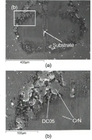 Fig. 4. Coefficient of friction curves for cementedcarbide forming tools and 100Cr6 coated balls