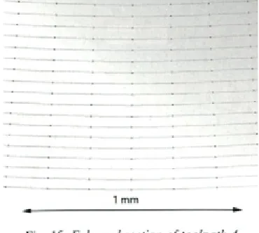 Fig. 13. Enlarged section of toolpath 3