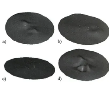 Figure 15 shows mode shapes modelled 