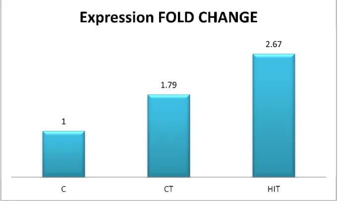 Figure 3. miR-29a expression changes in HIIT and CT groups (The change was compared with the control group)