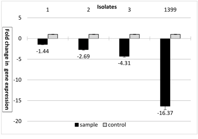 Table 2. Results of gene expression and biofilm formation 