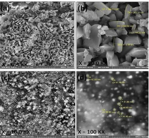 Fig. 6. SEM micrographs of γ-Al 2O3. (a, b) without metal loading, (c-d) with bimetallic loading (Cu-Ru-3/ γ-Al2O3).