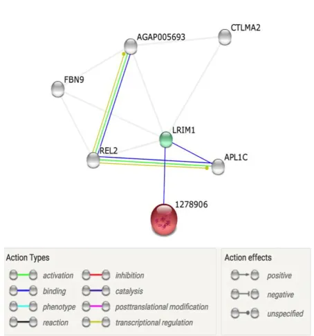 Fig. 1: Protein-Protein interaction network of TEP in an invertebrate 