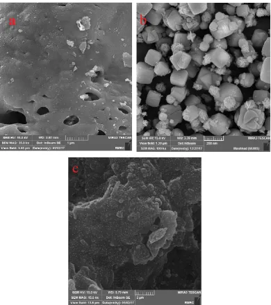 Fig. 2. SEM images of (a)epoxy cross-link, (b)nano-zeolites synthesized by microwave method at 100˚C and (c)the 3wt% zeolite NaA-epoxy nanocomposites.