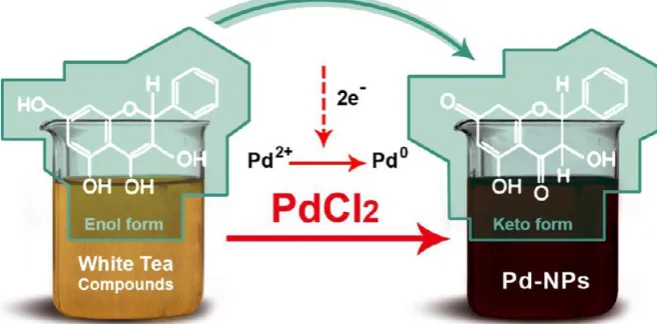 Fig. 1. The aqueous extract of white tea (A) before and (B) after synthesis of Pd-NPs.