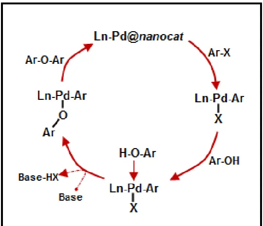 Fig. 4. Plausible mechanism for the catalytic synthesis of diaryl ether. 