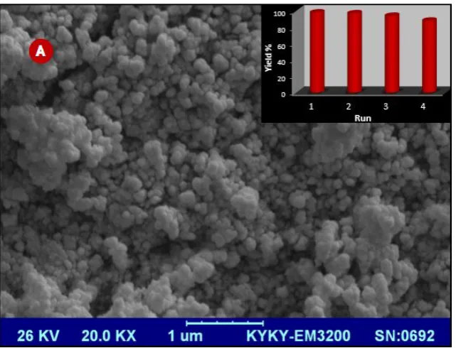 Fig. 6. SEM image of recovered Pd@nanocat (A) and recyclability chart (inset).