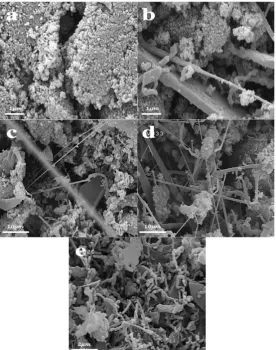 Fig. 6. The SEM image of the amount of the nanowires synthesized at 1500 ⁰C. (a) Sample B1 in which, no nanowire has been syn  -thesized