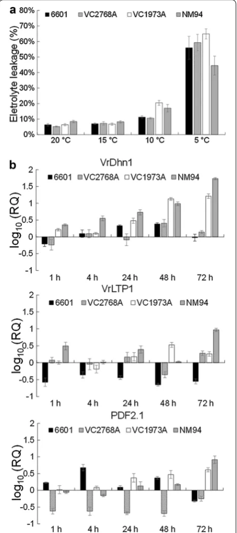 Fig. 3 The electrolyte leakage and transcript levels of VrLTP1, VrDhn1 and PDF2.1 in mungbean seedlings under chilling