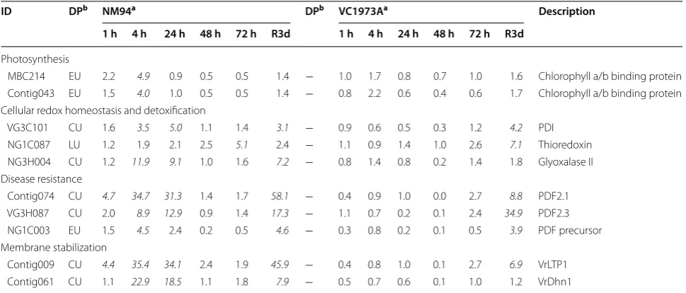Table 2 Dynamic expression patterns of NM94 CORs under chilling stress