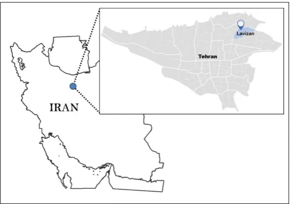 Figure 4.   External datasets, (a) DEM of the study area (b) Satellite image of the study area 
