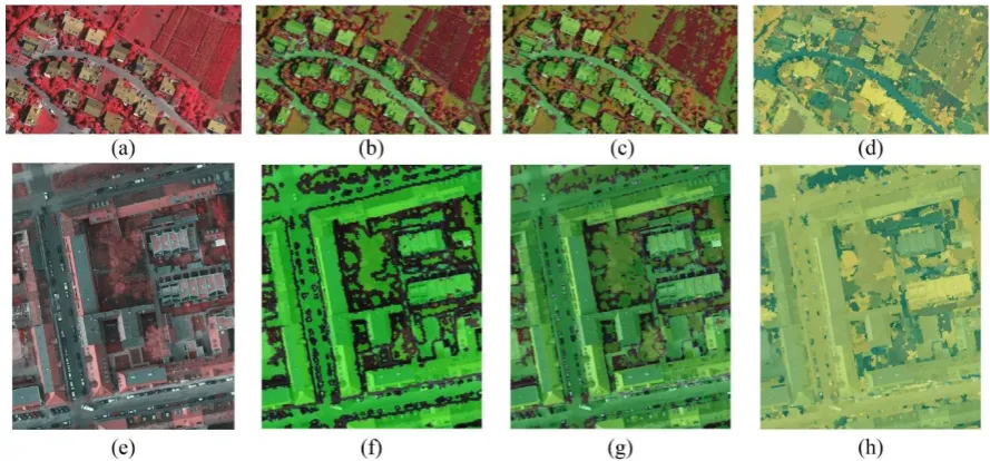 Figure 4. Image and DSM data used in the experiments 