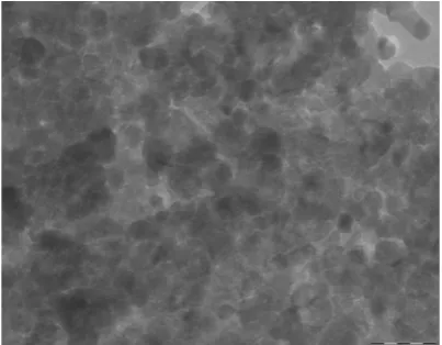 Fig.5. TEM image of sample prepared with 5 coats and pH = 7.1