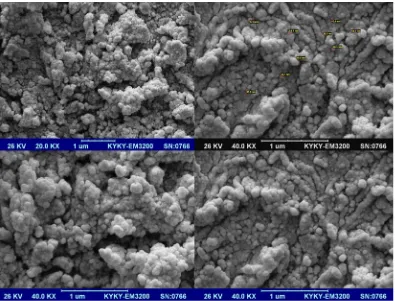 Fig. 3. SEM images of cobalt ferrite nanoparticles with water solvent and heating time of 2 minutes