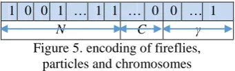 Figure 5. encoding of fireflies, particles and chromosomes 