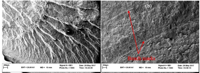 Fig. 8. a) Striations indicating fatigue failure, b) Beach marks indicating fatigue failure.