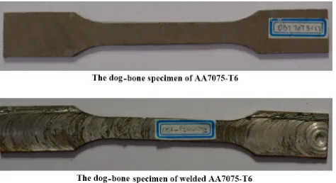 Fig. 12. The dog-bone specimens.