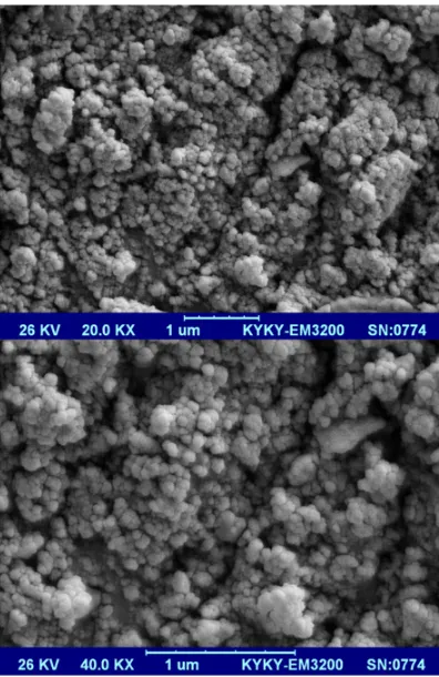 Fig. 7. SEM images of CdS nanoparticles with gelatin  