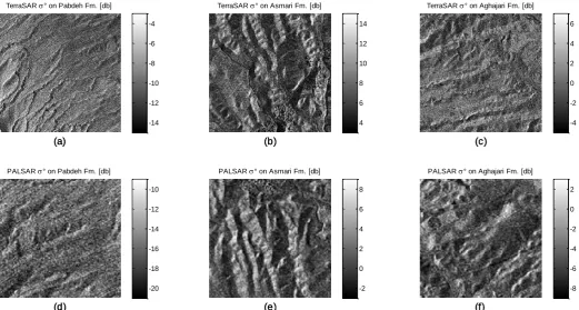 Figure 4. The backscattering coefficient on TerraSAR (a,b,c) and ALOS PALSAR (d,e,f) images of each geological formation of the sites; (d)