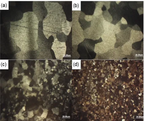 Fig. 3. Microstructure of; a) Pure Mg-step 1, b) PureMg-step 2, c) Mg/2.5%HA-step 1, d) Mg/2.5%HA-step2.