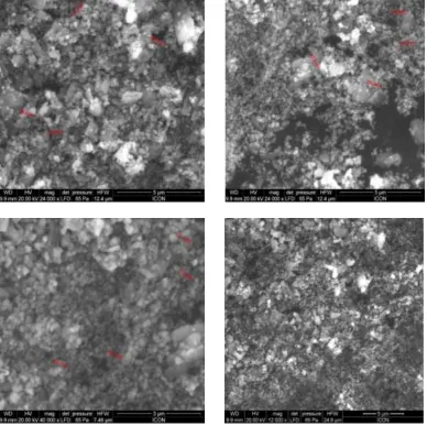 Fig. 3. SEM images of synthesized CeVO4 nanoparticles sintered at 800 ºC for 4 hrs.