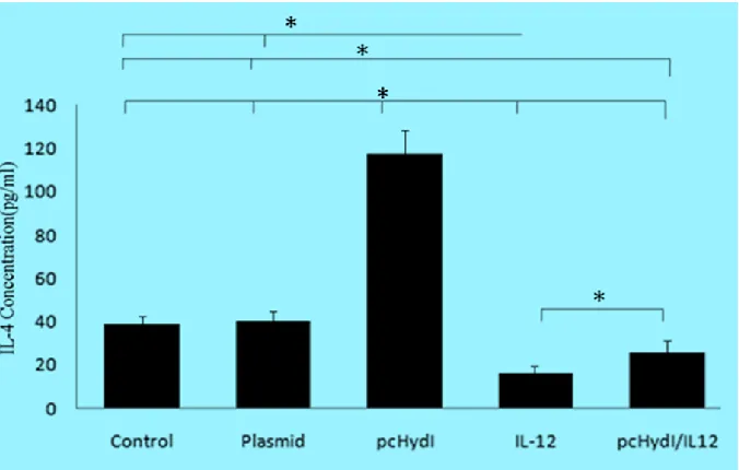 Fig. 3: Comparison of production levels of IL-4 from splenocytes in groups control (PBS and empty plasmid), pcHydI+pcMIL12 and pcHydI and pcMIL12