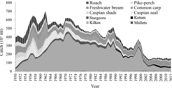 Figure 1. Annual catches of Caspian main species/groups (data source on catches: Fishstat Plus, FAO Fisheries Department, Fishery Information, Data and Statistic Unit; FISHSTAT Plus: Universal software for fishery statistical time series)