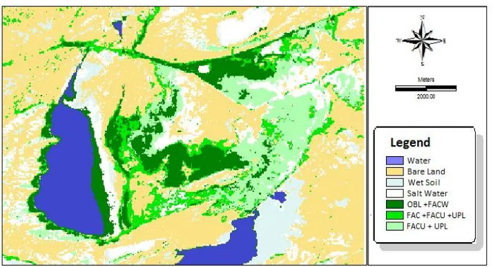 Figure 4. Alagol Wetland vegetation classification in 2011 