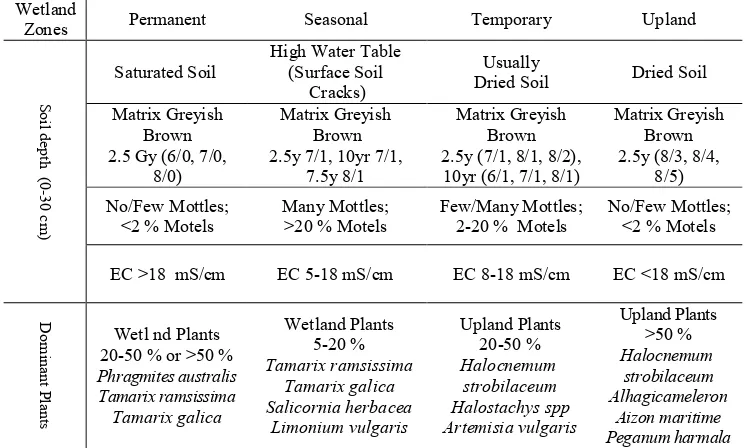Table 5. Criteria for distinguishing different soil and vegetation zones within wetland 