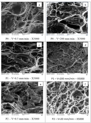 Fig. 16. SEM micrograph of extruded specimens after diﬀerent ECAE passes for the velocities of 0.5 and 200mm/min.