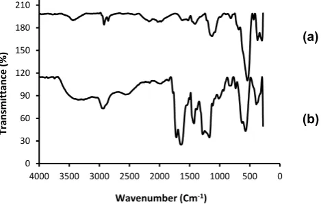 Fig. 2. FT-IR spectra of (a) Fe 3O4-MNPs, and (b) magnetic Fe3O4/P(MAH-co-AA) core/shell nanocomposite