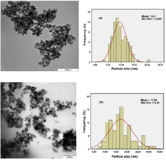 Fig. 5 TEM images and their corresponding size distributions of (a) pristine Fe  3O4, and (b) magnetic Fe3O4/P(MAH-co-AA) core/shell nanocomposite.