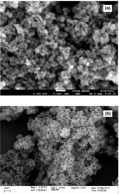 Fig. 7 SEM micrograph of (a) Fe 3O4-MNPs, and (b) magnetic Fe3O4/P(MAH-co-AA) core/shell nanocomposites.