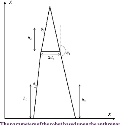 Fig. 1. The parameters of the robot based upon the anthropometric  