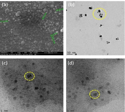 Fig. 3(a-d). FESEM image of nano poly CR mdofied surface