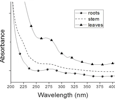 Fig. 1. UV spectra for polyphenols in roots, stem and leave of Eichhornia crassipes.