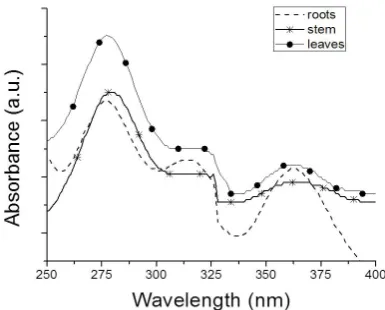 Fig. 4 shows an EDS analysis of the AgNP 