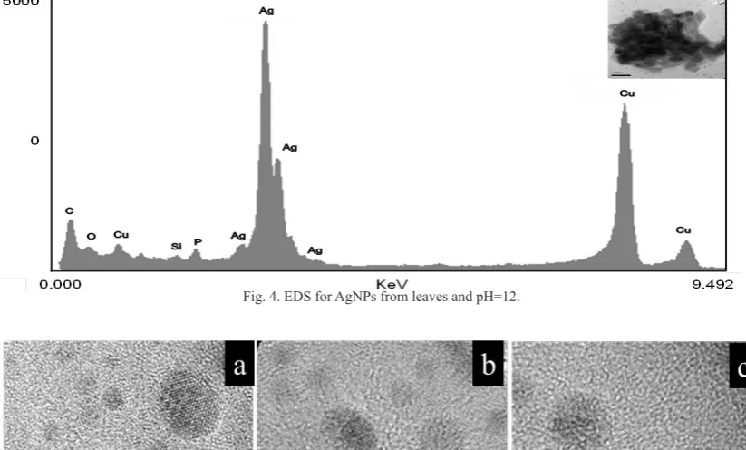 Fig. 4. EDS for AgNPs from leaves and pH=12.