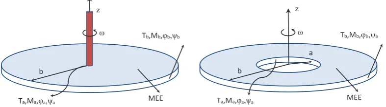 Fig. 1. MEE rotating disc