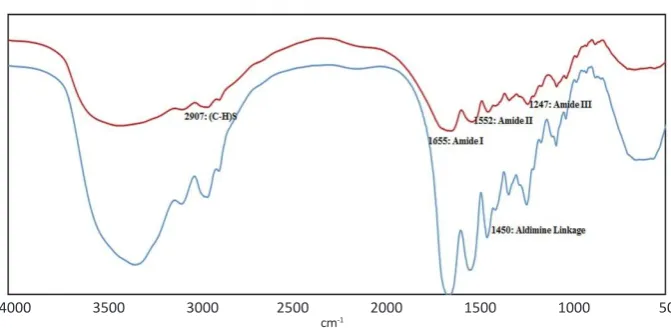 Fig. 5. FTIR spectra of crosslinked and un-crosslinked gelatin nanoparticles 