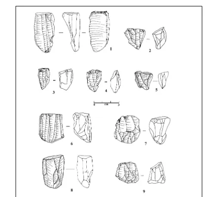 Fig. 7. Bladelet cores recovered from the Epipaleolithic sites of the Kohgiluyeh region.